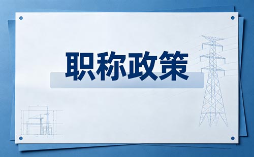 高级教练职称评审材料